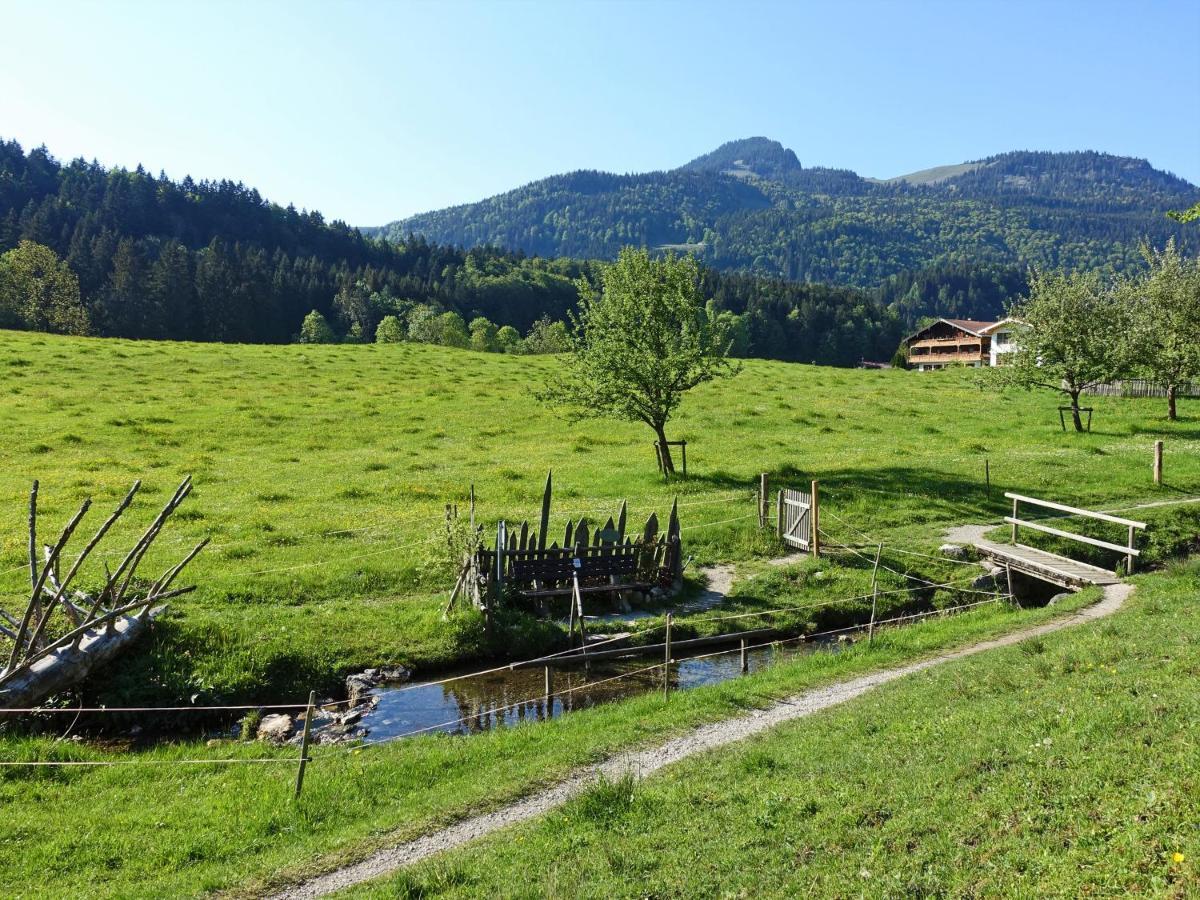 Ferienwohnanlage Grenzhub Murmeltier Sachrang Exterior foto